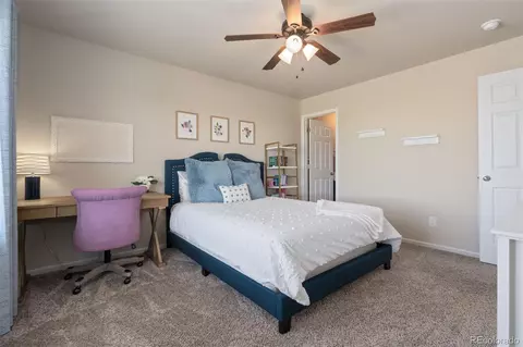 6503 Snow Bank Dr, Timnath, CO 80547 photo 33