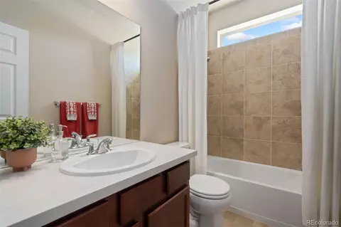 6503 Snow Bank Dr, Timnath, CO 80547 photo 24