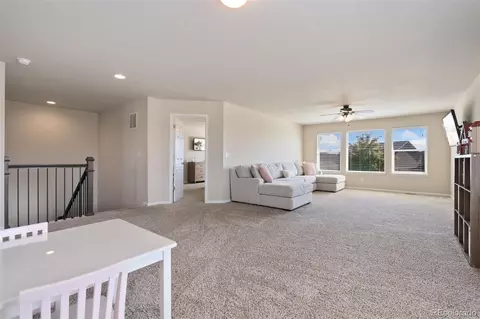 6503 Snow Bank Dr, Timnath, CO 80547 photo 27
