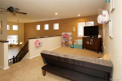 8853 Apache Plume Dr, Parker, CO 80134 photo 20