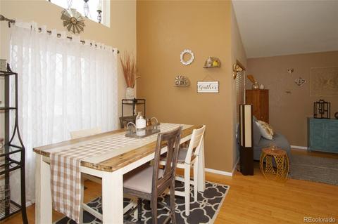 8853 Apache Plume Dr, Parker, CO 80134 photo 7