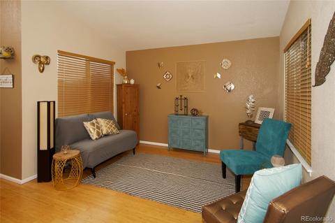 8853 Apache Plume Dr, Parker, CO 80134 photo 3