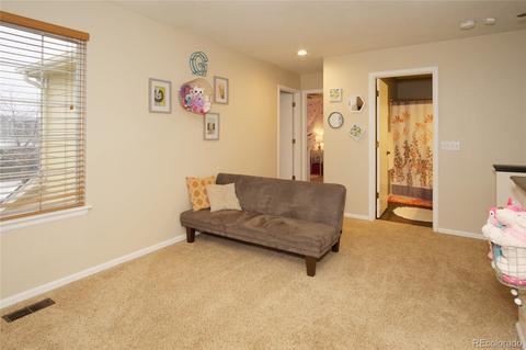 8853 Apache Plume Dr, Parker, CO 80134 photo 16