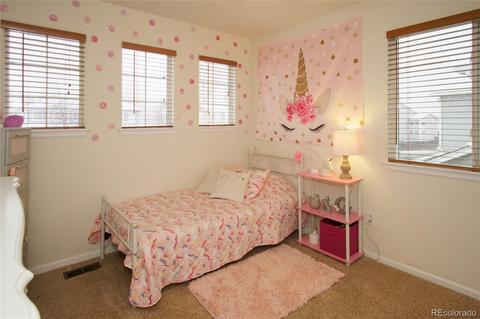 8853 Apache Plume Dr, Parker, CO 80134 photo 19