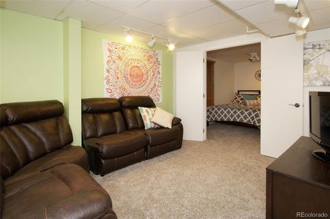 8853 Apache Plume Dr, Parker, CO 80134 photo 23