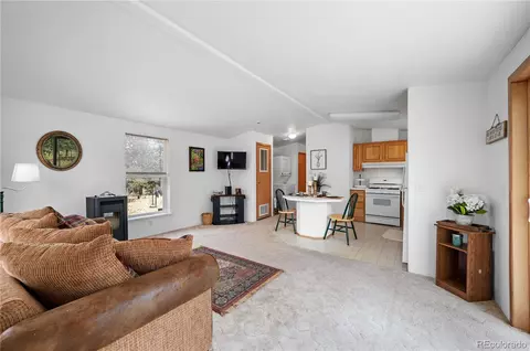 9674 Ranch Rd, Hartsel, CO 80449 photo 8