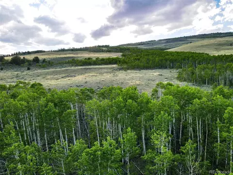 Co Road 5, Fairplay, CO 80440