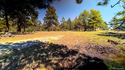 120 Chubb Ct, Buena Vista, CO 81211 photo 20