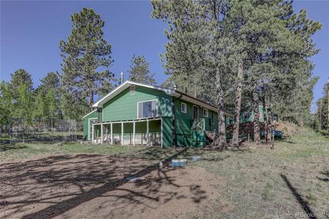 191 Anderson Rd, Bailey, CO 80421 photo 6