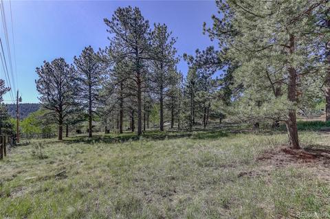 191 Anderson Rd, Bailey, CO 80421 photo 37