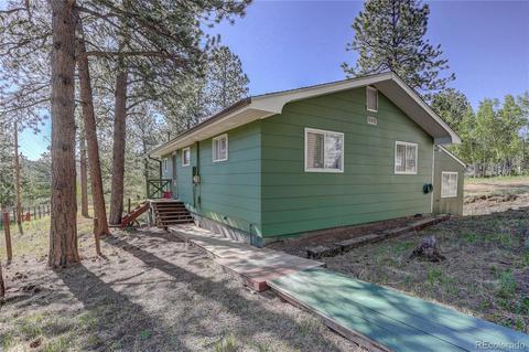 191 Anderson Rd, Bailey, CO 80421 photo 5