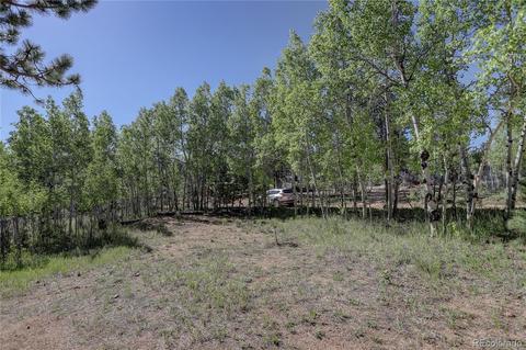 191 Anderson Rd, Bailey, CO 80421 photo 38