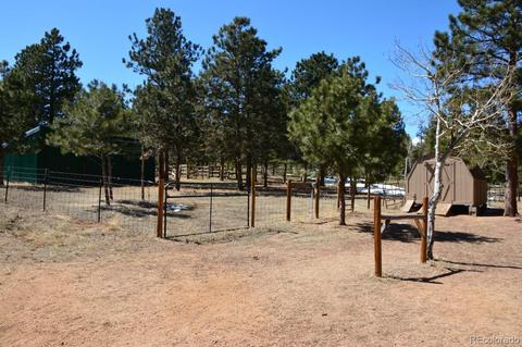 275 Royal Dr, Bailey, CO 80421 photo 36