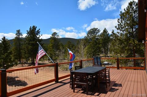 275 Royal Dr, Bailey, CO 80421 photo 4