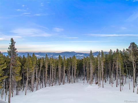 10834 Beas Dr, Conifer, CO 80433 photo 35