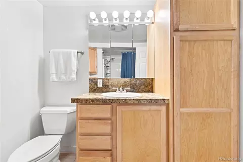 Bath - 4804 S Pine Rd, Evergreen, CO 80439 photo 3 of 3