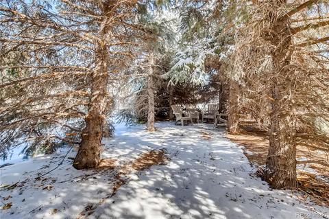 7202 W 94th Pl, Westminster, CO 80021 photo 37