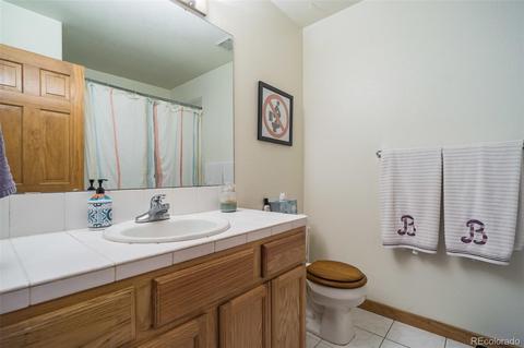 22456 Cook Ln, Morrison, CO 80465 photo 30