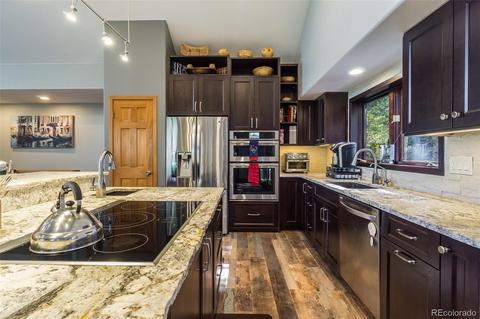 22456 Cook Ln, Morrison, CO 80465 photo 24