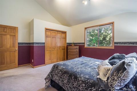 22456 Cook Ln, Morrison, CO 80465 photo 29