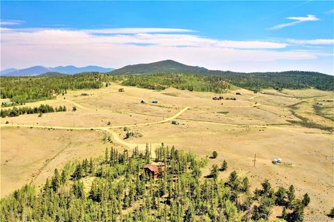 62 Suffolk Way, Como, CO 80432 photo 6
