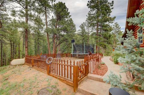 29123 Mangy Moose Trl, Pine, CO 80470 photo 37