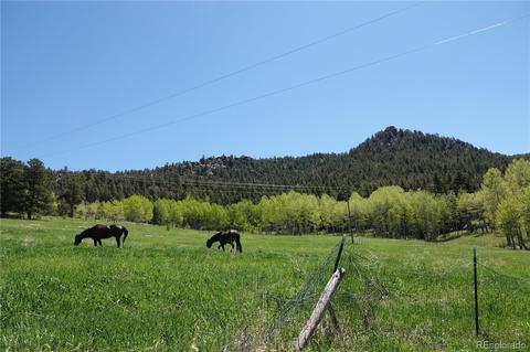 26726 Light Ln, Conifer, CO 80433 photo 14