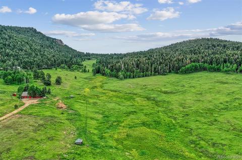 26726 Light Ln, Conifer, CO 80433 photo 12