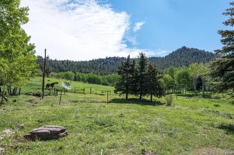 26726 Light Ln, Conifer, CO 80433 photo 32