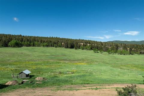 26726 Light Ln, Conifer, CO 80433 photo 29