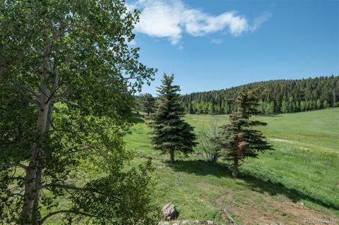 26726 Light Ln, Conifer, CO 80433 photo 13