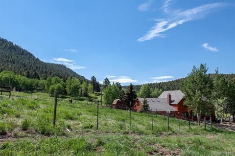 26726 Light Ln, Conifer, CO 80433 photo 34