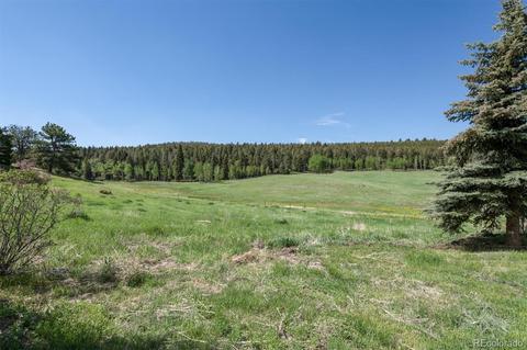 26726 Light Ln, Conifer, CO 80433 photo 30