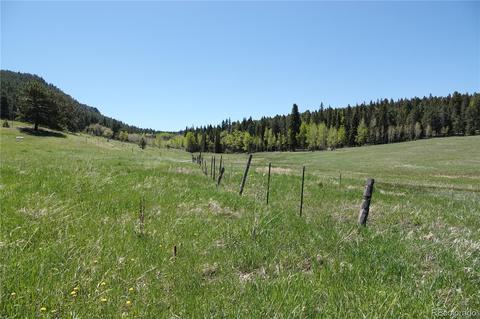 26726 Light Ln, Conifer, CO 80433 photo 24