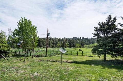 26726 Light Ln, Conifer, CO 80433 photo 31