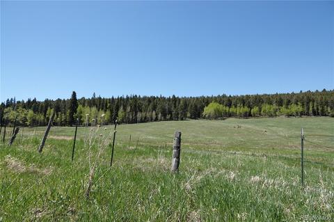 26726 Light Ln, Conifer, CO 80433 photo 23