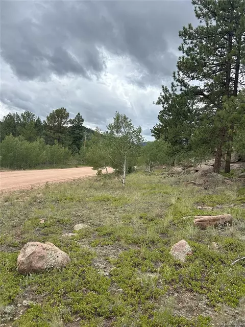 155 County Road 403, Florissant, CO 80816