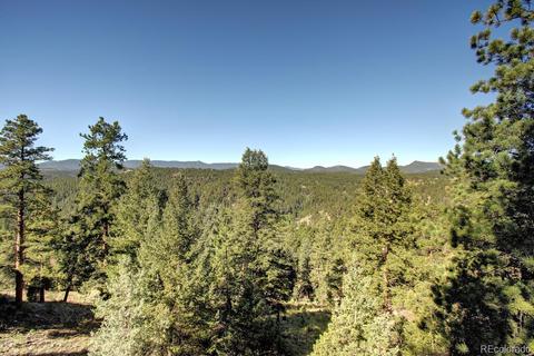 34963 Whispering Pines Trl, Pine, CO 80470 photo 37
