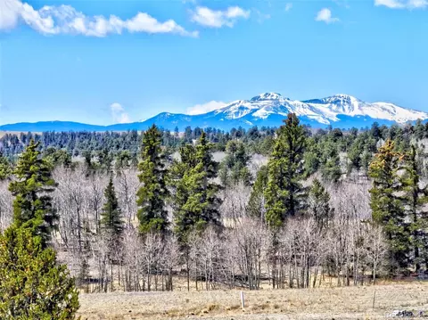 64 Colt Ln, Como, CO 80432 photo 6