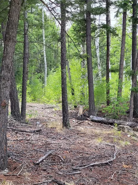 California Circle, Mosca, CO 81101