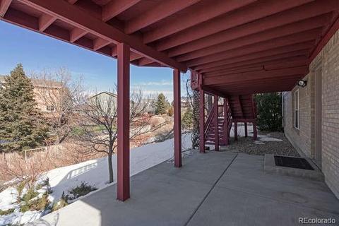 6203 Lions Pt, Lone Tree, CO 80124 photo 34