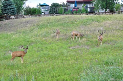6203 Lions Pt, Lone Tree, CO 80124 photo 39