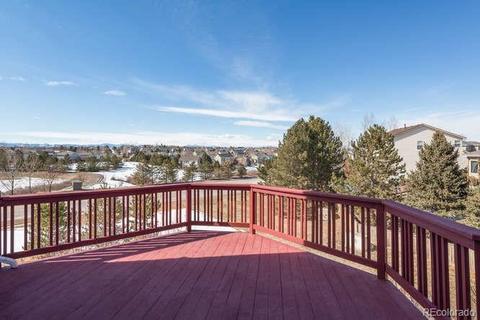 6203 Lions Pt, Lone Tree, CO 80124 photo 31