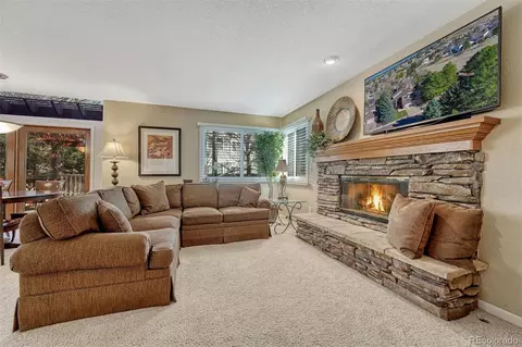 10084 Armadillo Dr, Lone Tree, CO 80124 photo 16