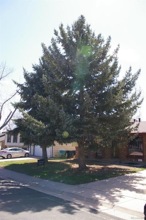 2544 E 98th Way, Thornton, CO 80229 photo 3