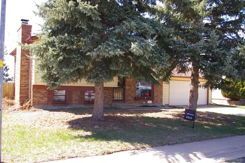 2544 E 98th Way, Thornton, CO 80229 photo 2