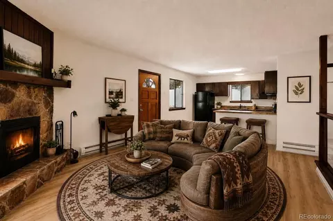 Living - 217 Catamount Ridge Rd, Bailey, CO 80421 photo 1 of 3