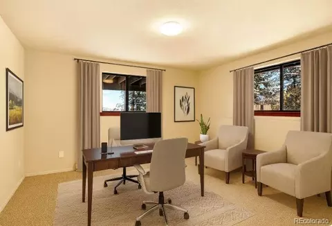 Other - 217 Catamount Ridge Rd, Bailey, CO 80421 photo 3 of 14