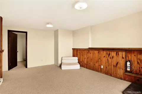 Other - 217 Catamount Ridge Rd, Bailey, CO 80421 photo 10 of 14