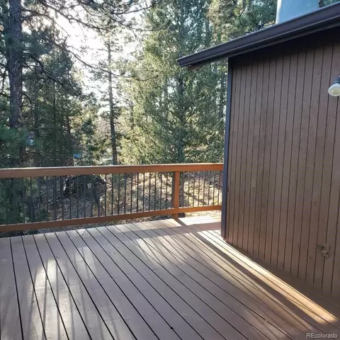 Other - 217 Catamount Ridge Rd, Bailey, CO 80421 photo 6 of 14